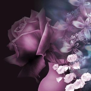 Meet your Posher, Carrie